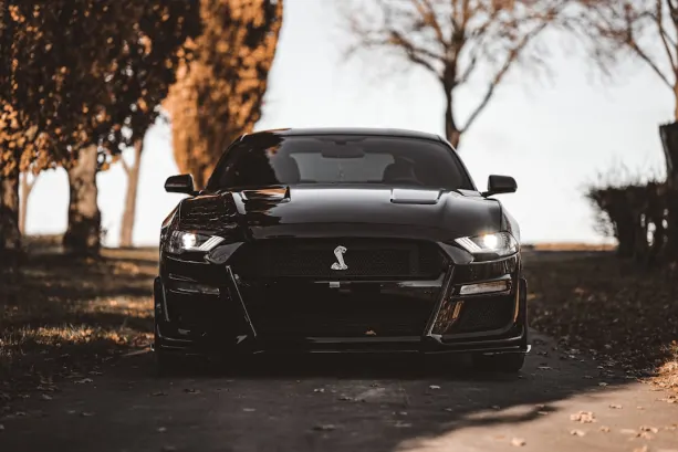 Casino777 Casino Android/iOS Forrit